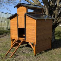 Poulailler Farmer L 4 à 6 Poules Bois Fsc Toit Tôle Ouvrant Avec Rehausse - Animal Valley