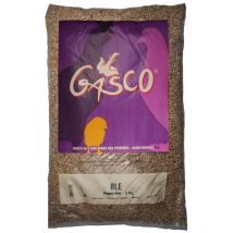 Blé Pour Poule Pondeuse 5kg - Gasco