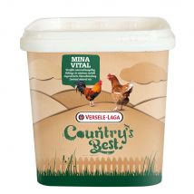 Mélange De Minéraux Enrichi Poule Minavital 4kg - Versele Laga - Versele Laga