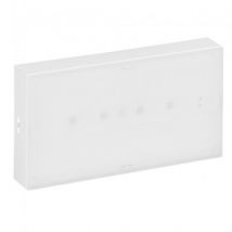 Luz Emergencia URA ONE 100lm LEGRAND 661621 PC