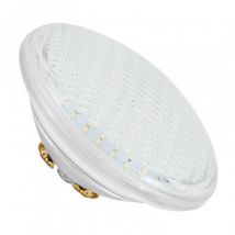 Ampoule LED Piscine Submersible PAR56 12V AC/DC 35W IP68 Plusieurs options