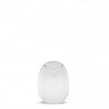 Lampe Décorative LED RGBW Gufo 40 Solar & Batterie Rechargeable RGBW