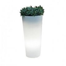 Vaso Ficus 60 Cavo Esterno Freddo Bianco Freddo 6500K