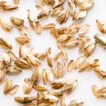 Oreiller ferme d'épeautre biologique, MILLE OREILLERS