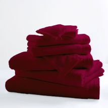 Lot de 6 gants de toilette coton peigné Douceur TRADILINGE