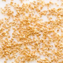 Oreiller ferme en millet biologique, MILLE OREILLERS