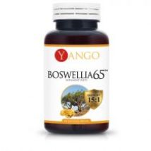 Yango Boswellia 65&#8482; - ekstrakt 65% Suplement diety 60 kaps.