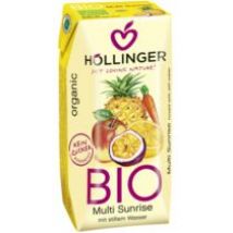 Hollinger Napój wieloowocowy z marchwią 200 ml Bio