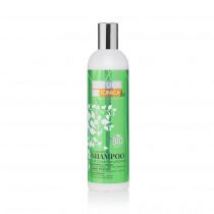 Natura Estonica Bio Color Bomb Shampoo szampon do włosów 400 ml