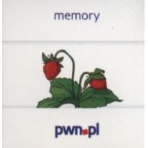 Memory Logopedia
