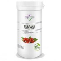 Soul Farm Guarana ekstrakt (500 mg) Suplement diety 60 kaps.