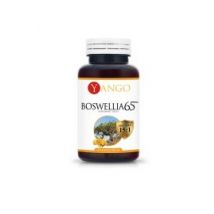 Boswellia 65&#8482; - ekstrakt 65% Suplement diety