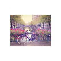 Amsterdam Wiosną Rower wśród Kwiatów - plakat