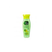Refreshing Lemon Anti-Dandruff Shampoo przeciwłupieżowy szampon do włosów Cytryna
