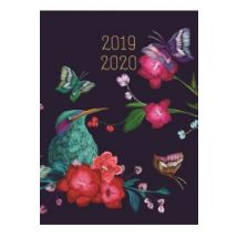 Kalendarz tygodniowy B6 2019-2020 Zimorodek ALBI