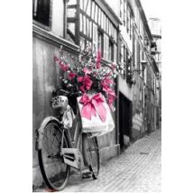 Paryż - Różowe Kwiaty na Rowerze - plakat