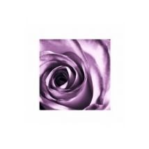 Purpurowa róża - plakat premium