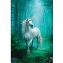 Anne Stokes Unicorn Jednorożec - plakat