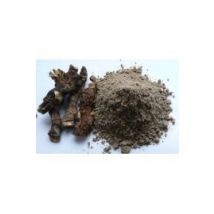 Bojho (Calamus aromaticus) - tatarak zwyczajny