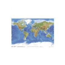Fizyczna Mapa Świata z Podziałem Politycznym - plakat