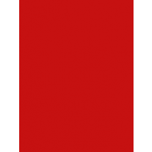 Ribble Touch Up Paint - Endurance SL Red