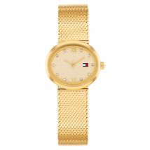 Moira Stainless Steel Gold Dial Ladies Watch