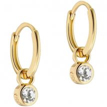 SINALAA Yellow Gold Coloured Huggie Earrings
