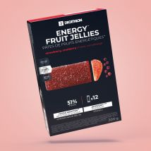 Decathlon - Fruchtmus Energy Ecosize Erdbeere Cranberry Acerola 12 × 25 g - Einheitsgrösse