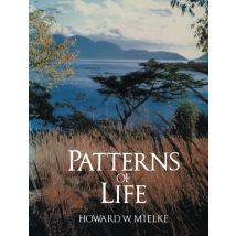 Patterns of Life