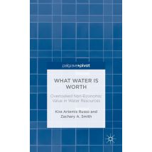 What Water Is Worth: Overlooked Non-Economic Value in Water Resources