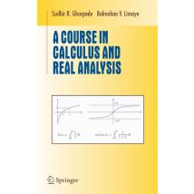 A Course in Calculus and Real Analysis