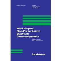 Workshop on Non-Perturbative Quantum Chromodynamics