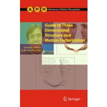 Guide to Three Dimensional Structure and Motion Factorization