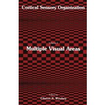 Multiple Visual Areas