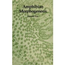 Amphibian Morphogenesis