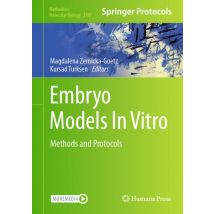 Embryo Models In Vitro