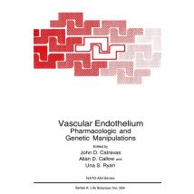 Vascular Endothelium