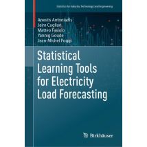 Statistical Learning Tools for Electricity Load Forecasting