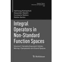 Integral Operators in Non-Standard Function Spaces