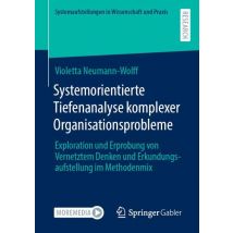 Systemorientierte Tiefenanalyse komplexer Organisationsprobleme