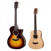 Taylor 414ce-R Sunburst w/ Free Taylor Baby BT1