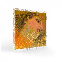 Pirastro Evah Pirazzi Slap Double Bass Plain Gut D String 3/4 Size