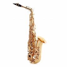 Trevor James EVO Alto Saxophone Gold Lacquer
