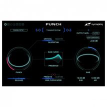 Zynaptiq Punch
