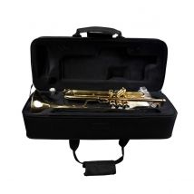 Forte TR220 Trumpet Outfit