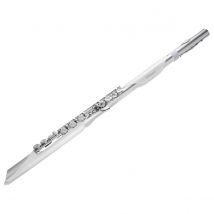 Roland Aerophone Brisa Digital Wind Instrument