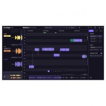 Synchro Arts RePitch 2 Standard VocAlign Pro Bundle