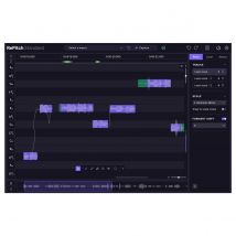 Synchro Arts RePitch 2 Standard Upgrade