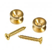 Planet Waves Solid Brass End Pins Brass (Pair)