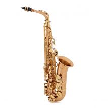 Yanagisawa AWO2 Alto Saxophone Bronze